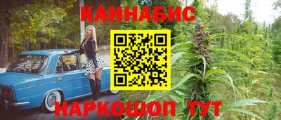 дмт Новодвинск