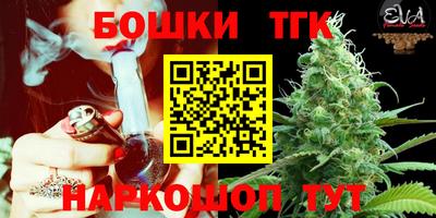 дмт Новодвинск