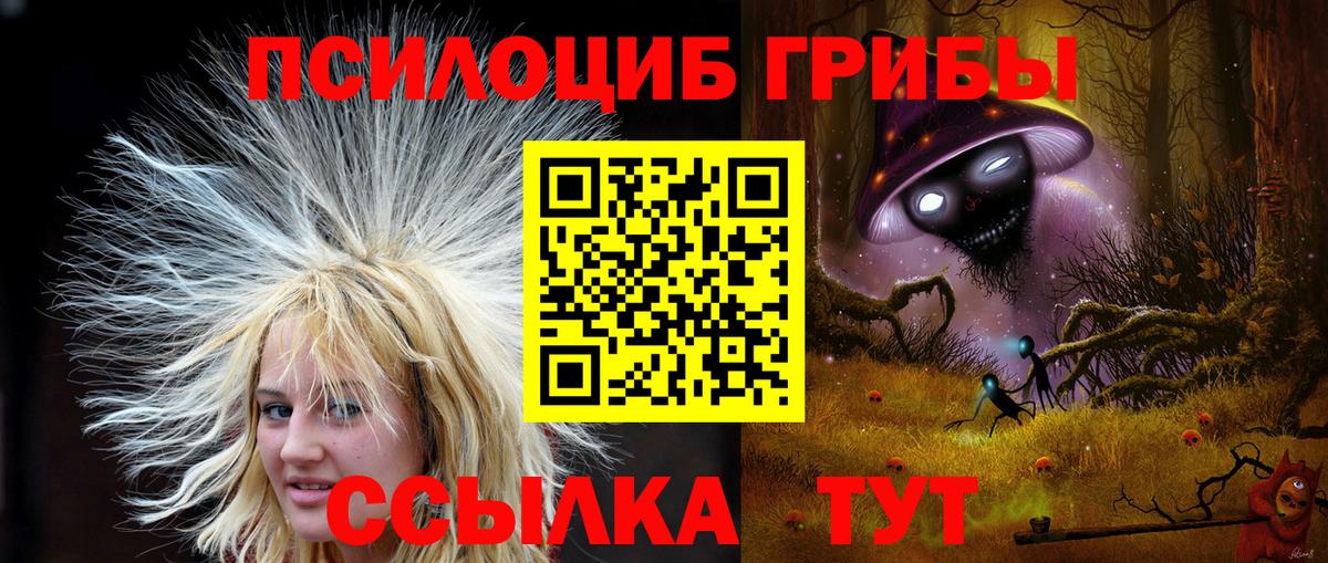 Галлюциногенные грибы Psilocybine cubensis  Вход с VPN  Сафоново  Псилоцибиновые грибы мицелий 